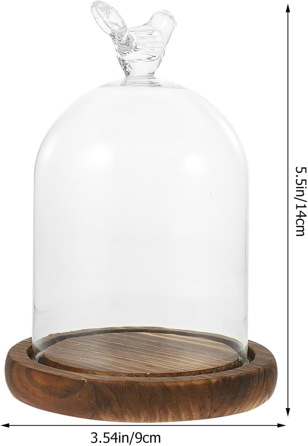 Kichvoe Glass Cloche Dome with Wooden Base 3.5 Inch Clear Display Cover for Immortal Flower Preservation Micro Landscape Cake Stand Decorative Serveware image 4