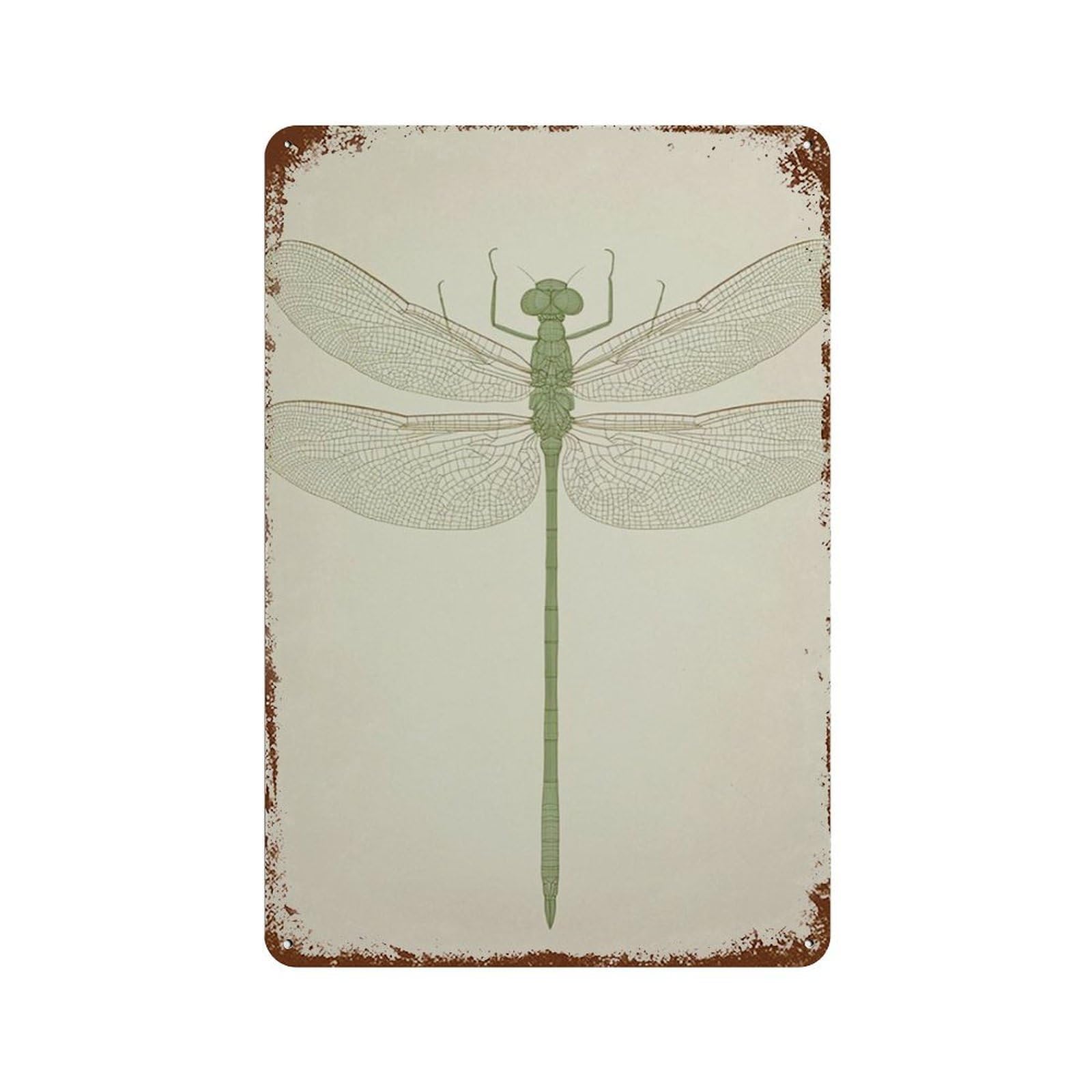 xiaoxiaoshen Dragonfly Botanical Minimal Insect Neutral Nature Scientific Work Wall Decor Art Metal Tin Poster Modern Home Decor Art Home Bar Shop Decorations Vintage Sign 30x20cm