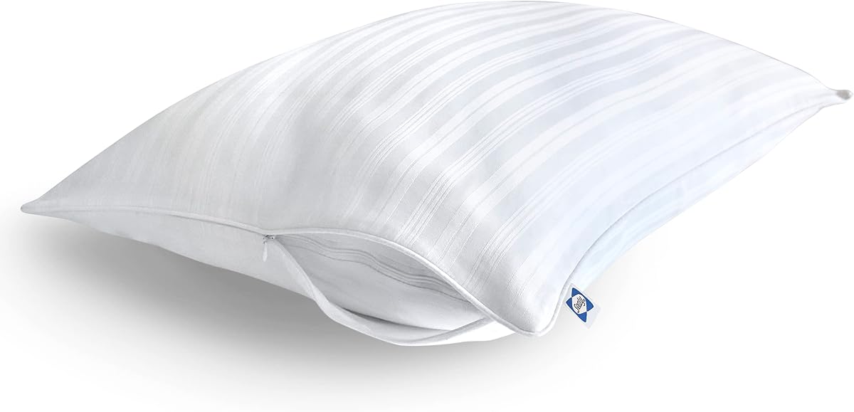 Pillow Cover, Soft Comfort Bed Pillow Protector, 2 Pack, Standard/Queen Pillow Cover