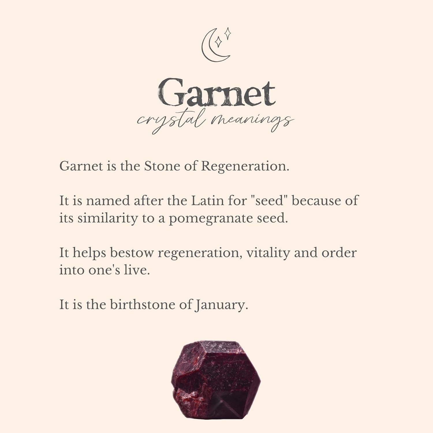 Luna Tide Garnet Chip Bead Bar Necklace in Bronze - Image 4