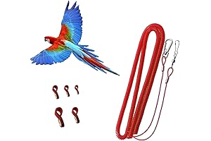 Bird Harness Leash: Ultimate Flight Control for Conures