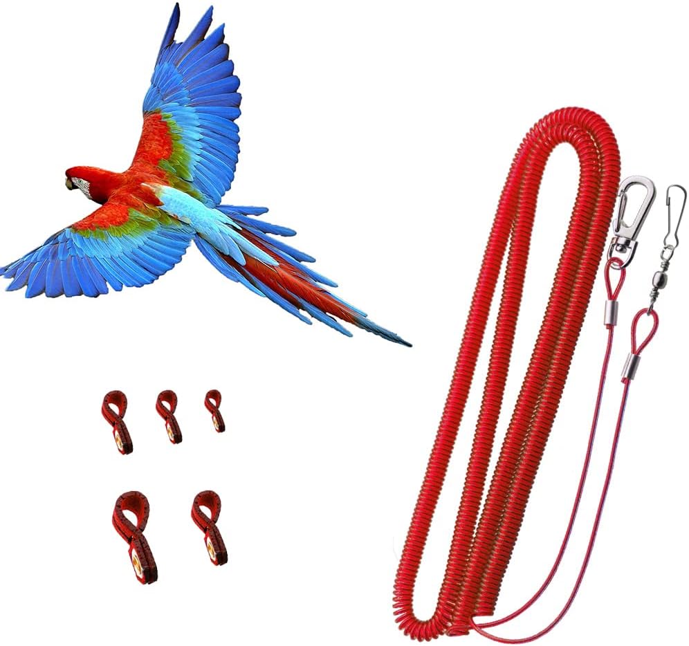 Bird Harness Leash Anti-bite Outdoor Red Flying Training Rope with 5pcs Different Sizes of Soft Foot Loops and Training Whistle(Upgraded Version of Ankle Ring)