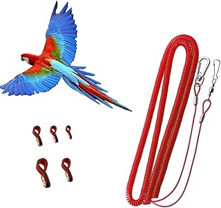 Bird Harness Leash Anti-bite Outdoor Red Flying Training Rope with 5pcs Different Sizes of Soft Foot Loops and Training Whistle(Upgraded Version of Ankle Ring)