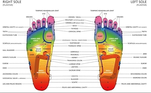 Miniatura 7 de Cloud9 Dynamic Liquid Massaging Plantillas ortopédicas, Negro -