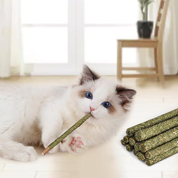 OSDUE Catnip Sticks and Teething Toys for Cats - 12PCS Natural Wood Chew Toy for Teeth Cleaning, Grinding - Cat Kitten Kitty Play and Relax