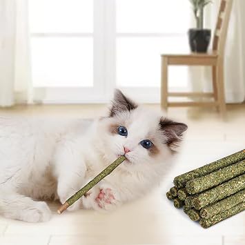 OSDUE Catnip Sticks and Teething Toys for Cats - 12PCS Natural Wood Chew Toy for Teeth Cleaning, Grinding - Cat Kitten Kitty Play and Relax