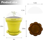 PURPLE STAR 1N 50 Packs Cupcake Plant Nursery Pots with Humidity Dome- Planting Containers Cups- Small Flower Pots for Indoor Outdoor Plant Succulent Vegetable (Mixed Color)