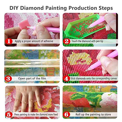 Niho-Jiuma Van Gogh Diamond Paintings Irises,Diamond Art Kits Round Diamonds Canvas Painting Gift For Adult,Home Decor(12X16 Inches/30X40Cm) #TOP6