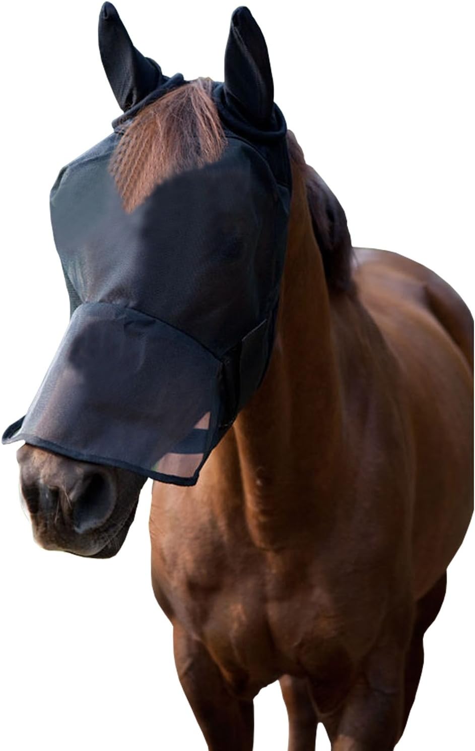 LTG PRO® Horse Pony Cob Fly Mask Net Veil Hood Full Face Cartoon Polyester Ears Nose Protection (Black, Pony)