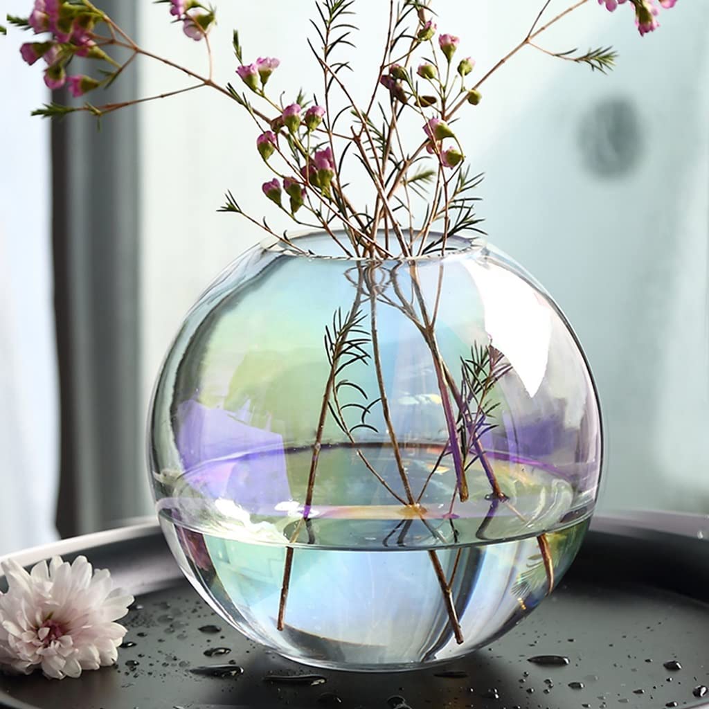 Aurora Ornament Symphony Rainbow Rose Flower Suche Kwiat Układ Proste Wazon Szklany Kreatywny Świeży Przejrzysty Umeblowanie (Size : 18cm*16cm)