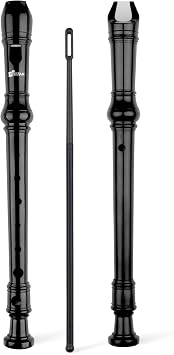 SWAN Soprano Recorder Instrument for Beginners Student - Baroque Style 8 Hole Flute Detachable 3pcs Descant Recorder with Cleaning Rod and Fingering Chart, Black