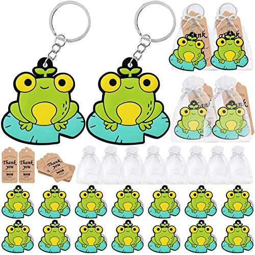 Kit déco fête grenouille avec 20 porte-clés étiquettes et sacs CiciBear