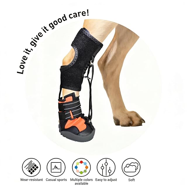 Foto 6 de 8 de Zapatos Correctivos para Perros Pitadue con Carrete para Arrastrar las Patas