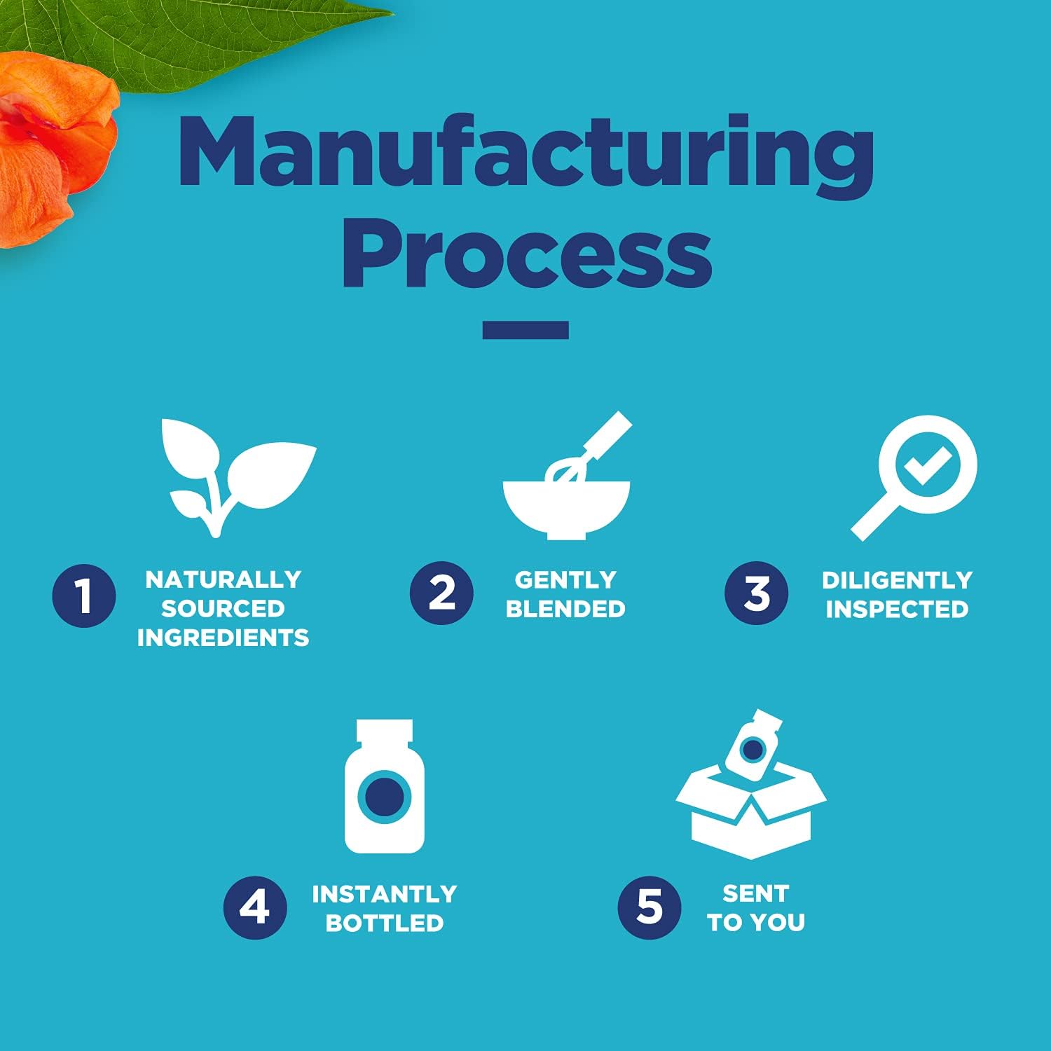 White Kidney Bean Carb Blocker - 1200mg Equivalent White Kidney Bean Extract Carb and Sugar Blocker Appetite Suppressant Slimming Pills - Hunger Suppressant for Women and Natural Energy Supplement : Health & Household