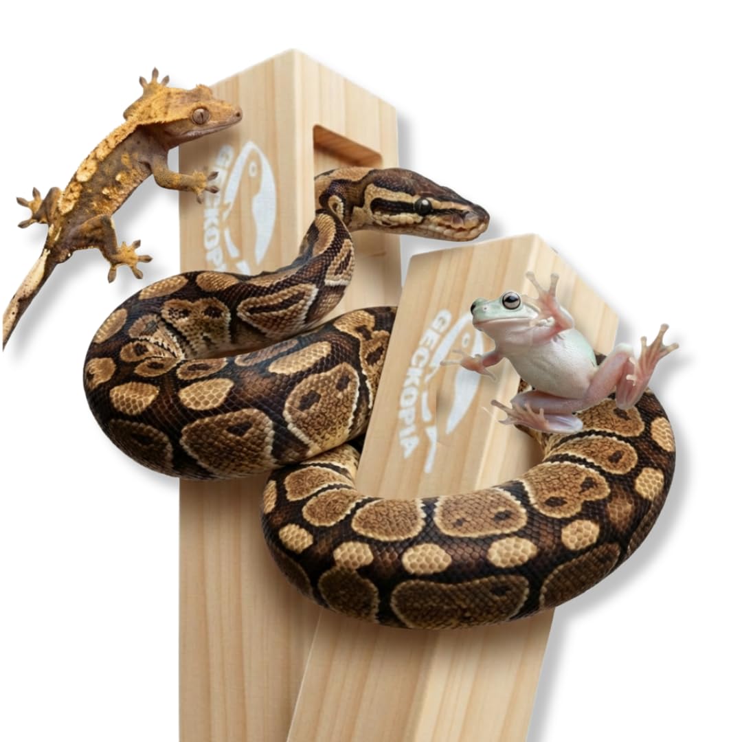 GECKOPIA Reptile Flex Bridge Large (Plain Wood, 18 Inch Long)