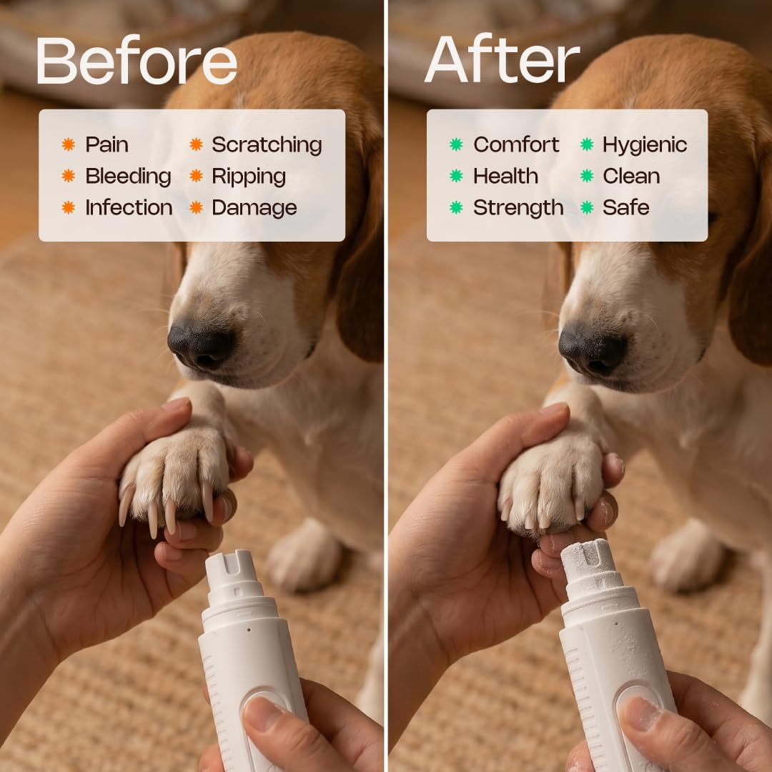 Everyn & Co Dog Nail Grinder with LED Light, USB-C Rechargeable Pet Trimmer | Low-vibration grinder with corundum head for smoother paw grooming at home, travel, and everyday pet nail care.