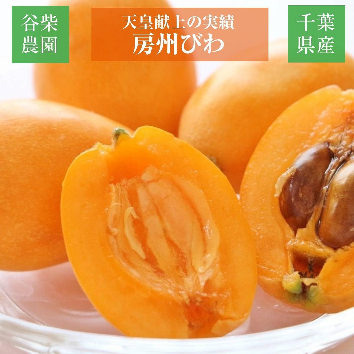 Amazon.co.jp: びわ 【谷柴農園】 房州びわ サイズ色々 1kg 家庭用