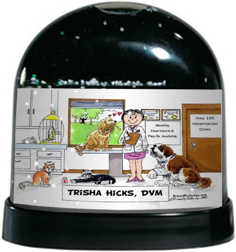 PrintedPerfection.com Personalized Veterinarian - Female Snow Globe Gift