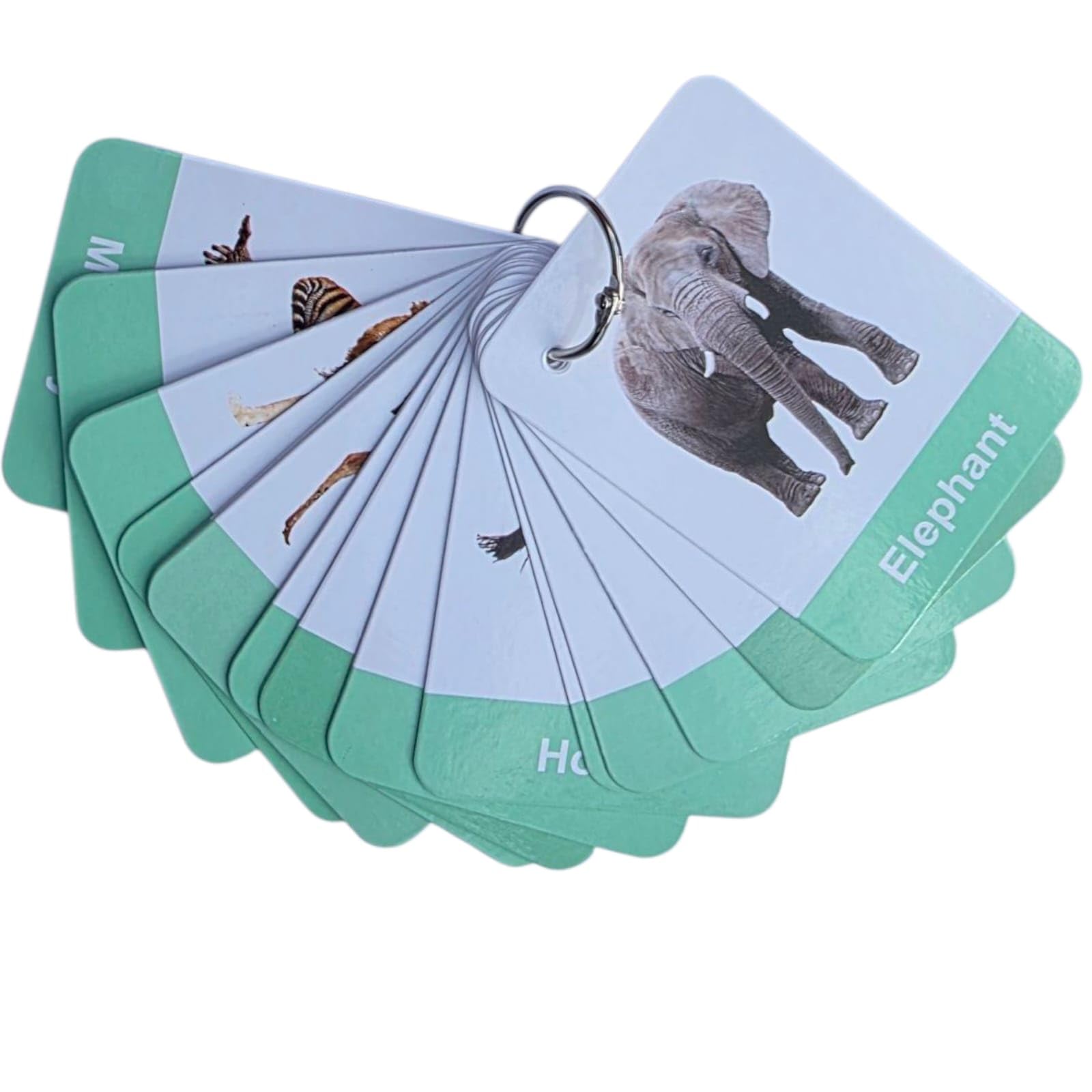 Real Image Animal Flashcards for kids | 24 Wild & Domestic Animals Learning Cards | Tear-Proof, Laminated, Wipeable | Educational Flashcards with Binding Ring | Preschool Learning Cards