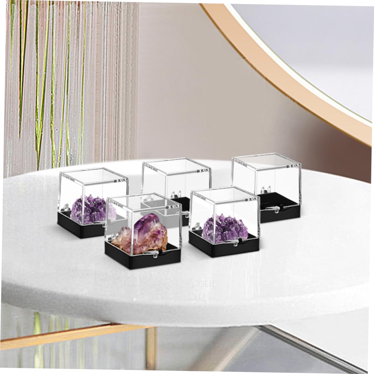 4pcs Specimen Showcase Box Storage Box Easy to Clean Organize Your Collection Display Case for Minerals