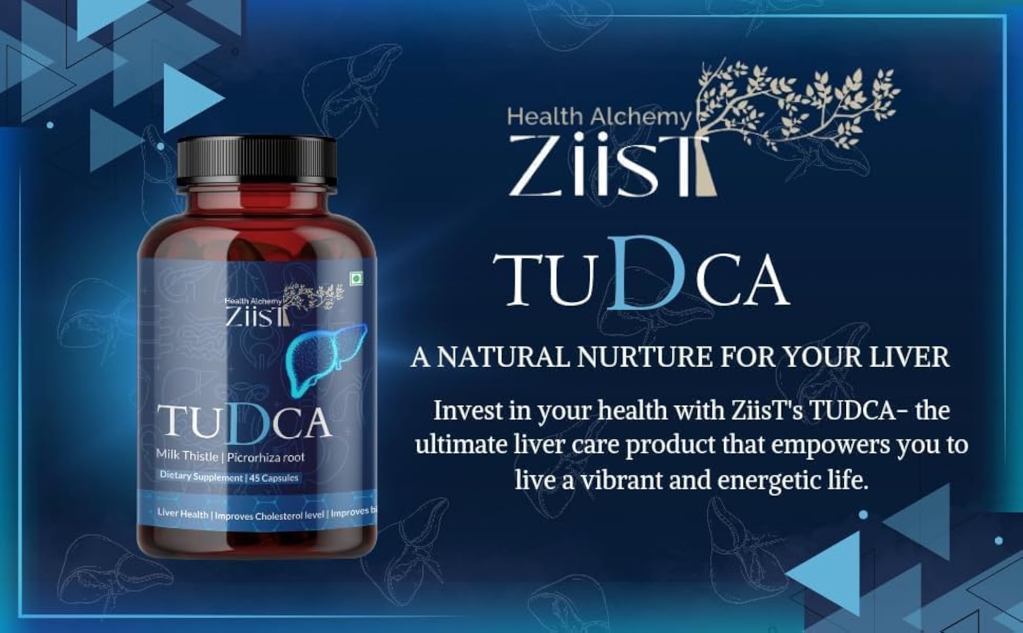 Ziist Tudca with Milk Thistle & Astragalus Capsule for Detoxification