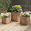 Pure Garden Fiber Clay Planters 3 Piece Varying Height Square Wood Look Pot Set with Drainage Holes for Herbs Plants or Flowers Brown