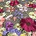 Labellezalay 3D Flowers lace Fabric, Big Flowers Embroidery Curtain,Table Cloth,Prom Dress Fabric 1 Yard,42 inches Wide