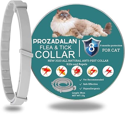 dog crate indestructible