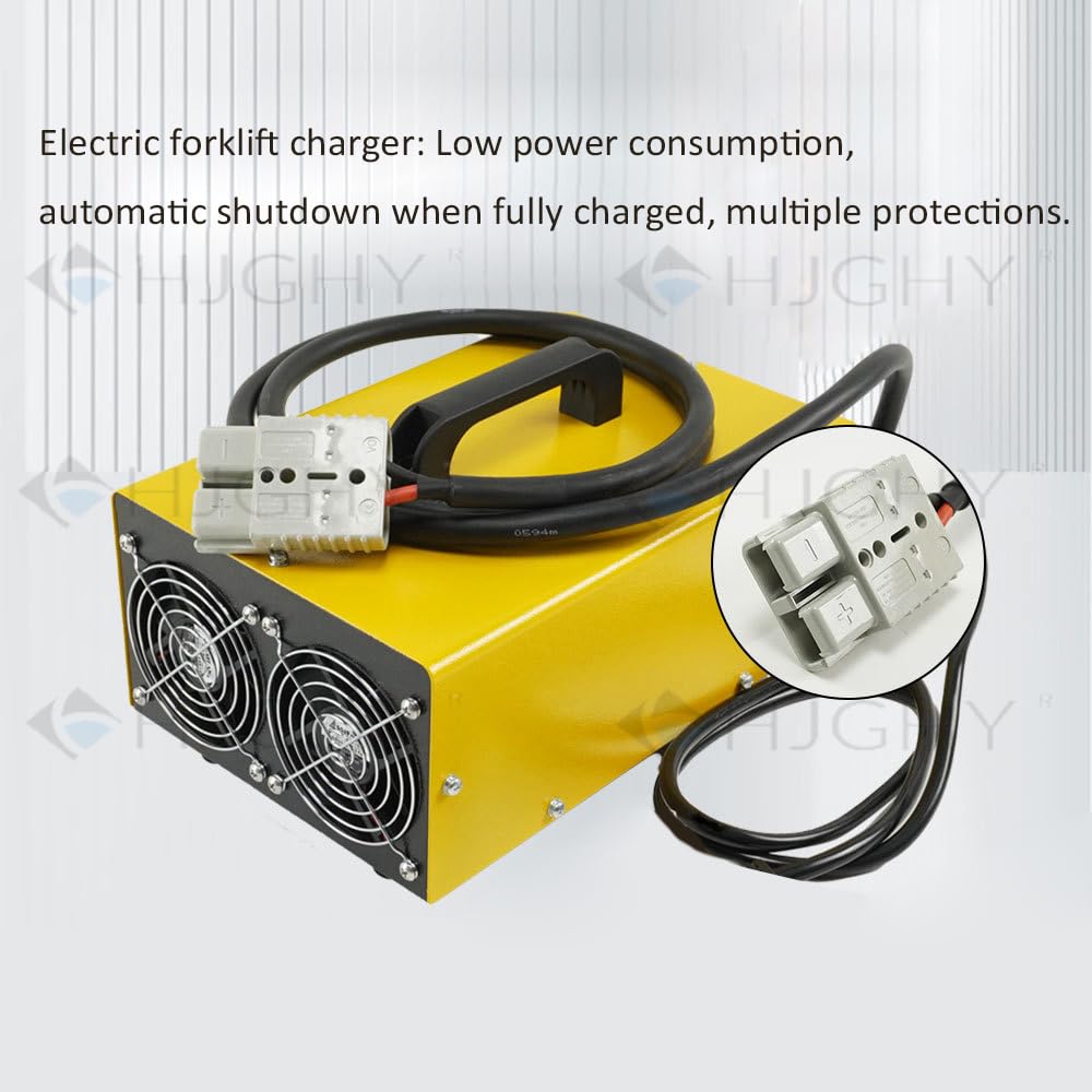 Caricabatterie per carrelli elevatori da 48 V 30 Ah, batteria al piombo