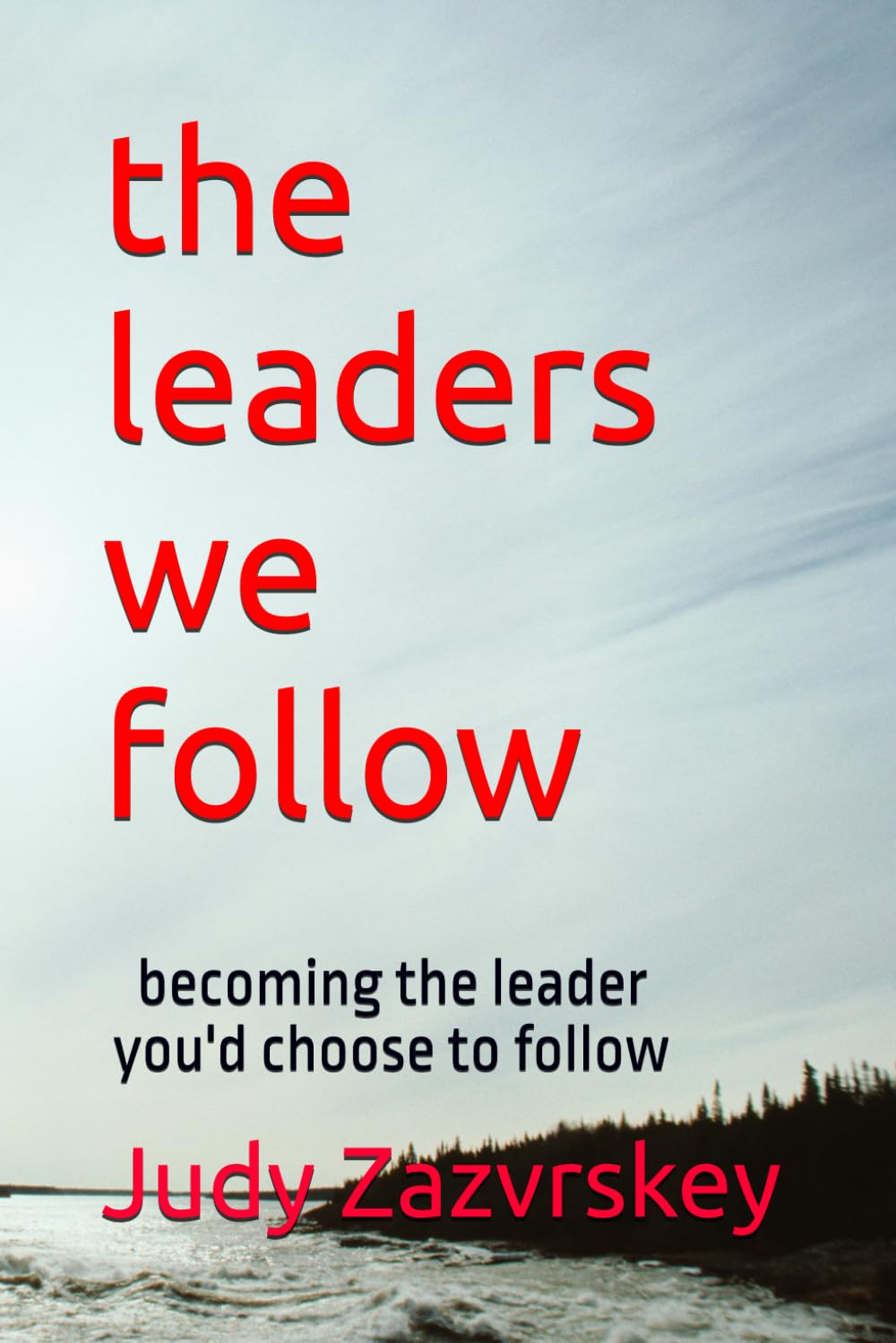 the leaders we follow: becoming the leader you'd choose to follow