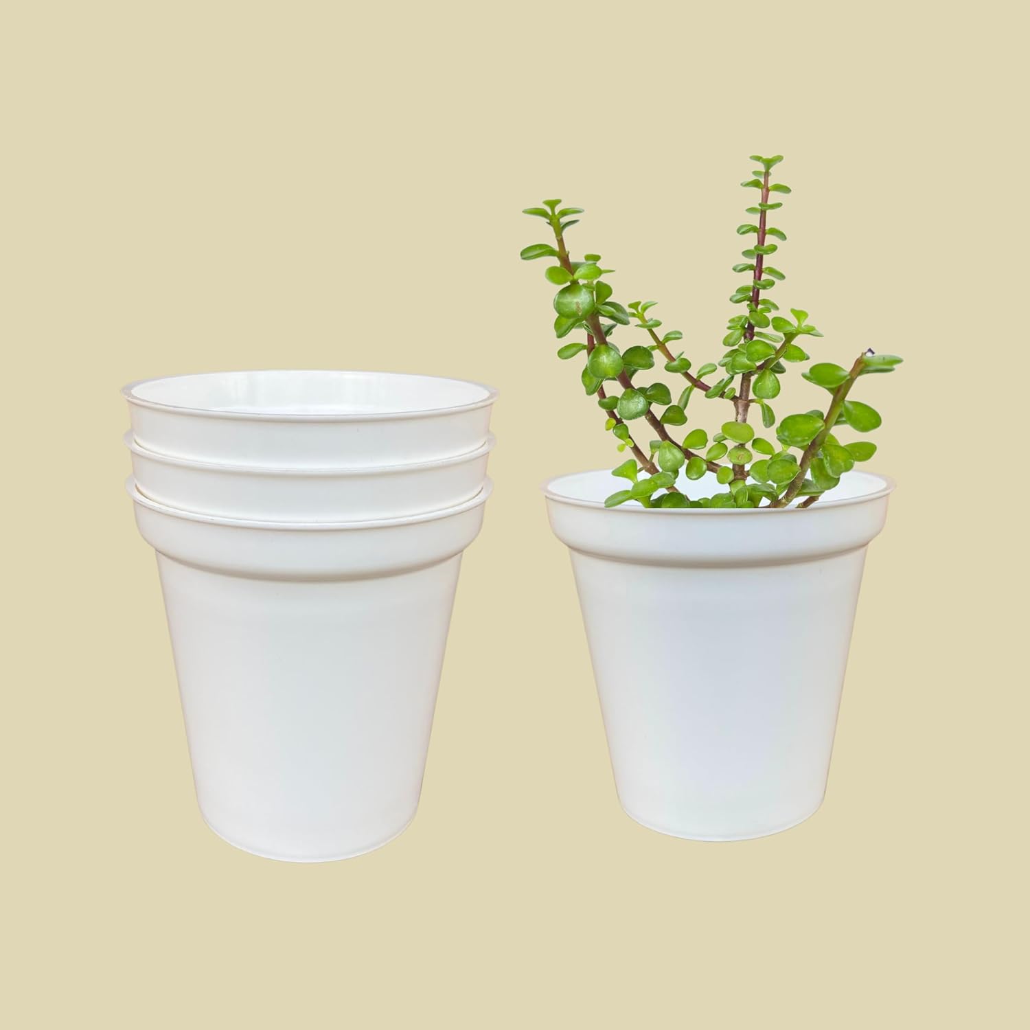 Indian Gardens Indoor Plastic Glass White Colour Pots for Home Garden