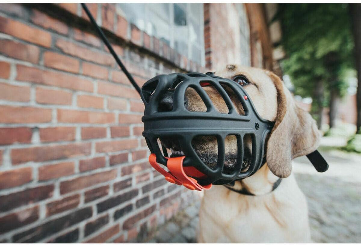 hunter Muzzle Albury, Size 5 Black