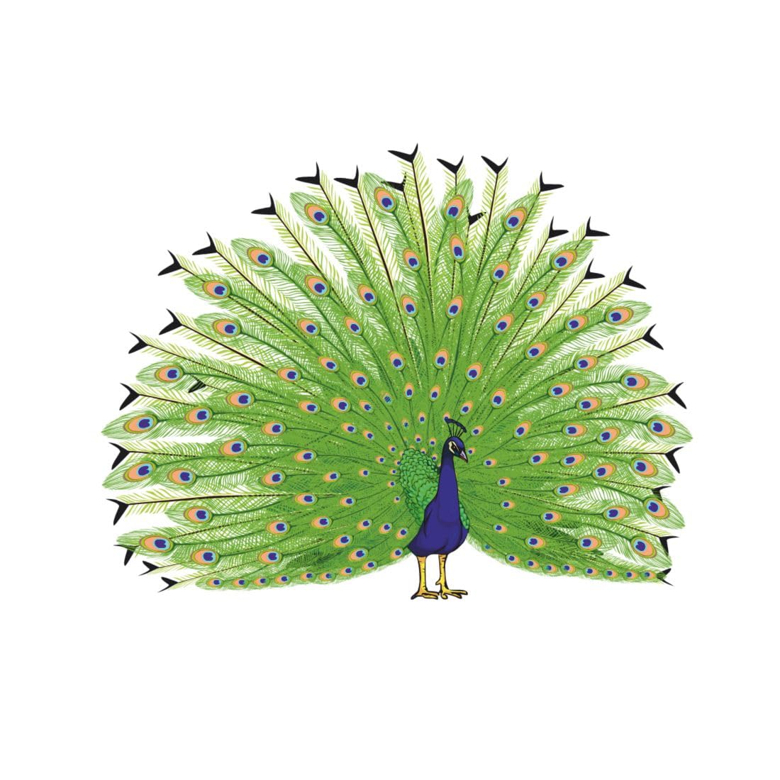 Dancing Peacock Wall Art Wall Stickers for Bedroom Home Kids Room, Multicolor, 35 X 29 Centimeter, Jagvii (B0DFLBF1ZV) Amazon Price History, Amazon Price Tracker
