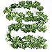 (12pcs x 2m) Hiedra Hojas de Vid Artificial Guirnalda Plantas Decoración Verde...