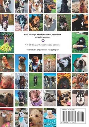 Tracking And Managing Canine Epilepsy: Journal #TOP1