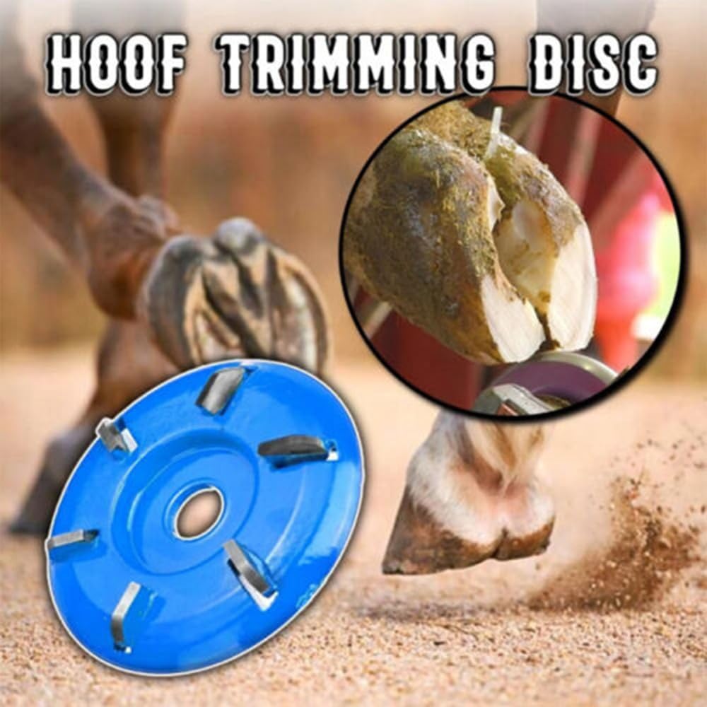 Disque de Coupe pour Chevaux, Chèvres, Bétail - Meulage et Polissage Lisse