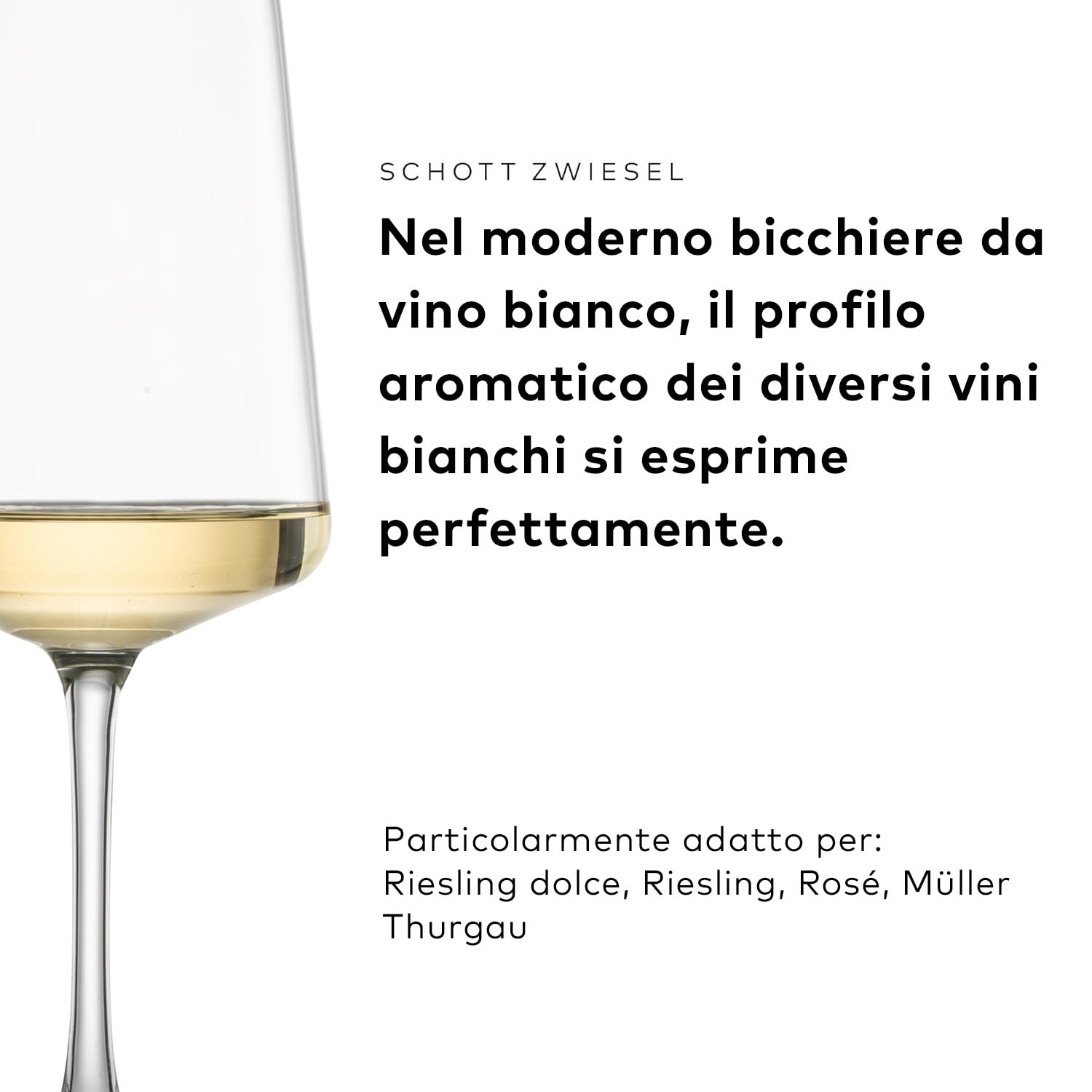 SCHOTT ZWIESEL Set di bicchieri MioVino (set iniziale da 12), moderni bicchieri da vino e da champagne in un set, bicchieri in cristallo Tritan lavabili in lavastoviglie, Made in Germany (art. 124072)