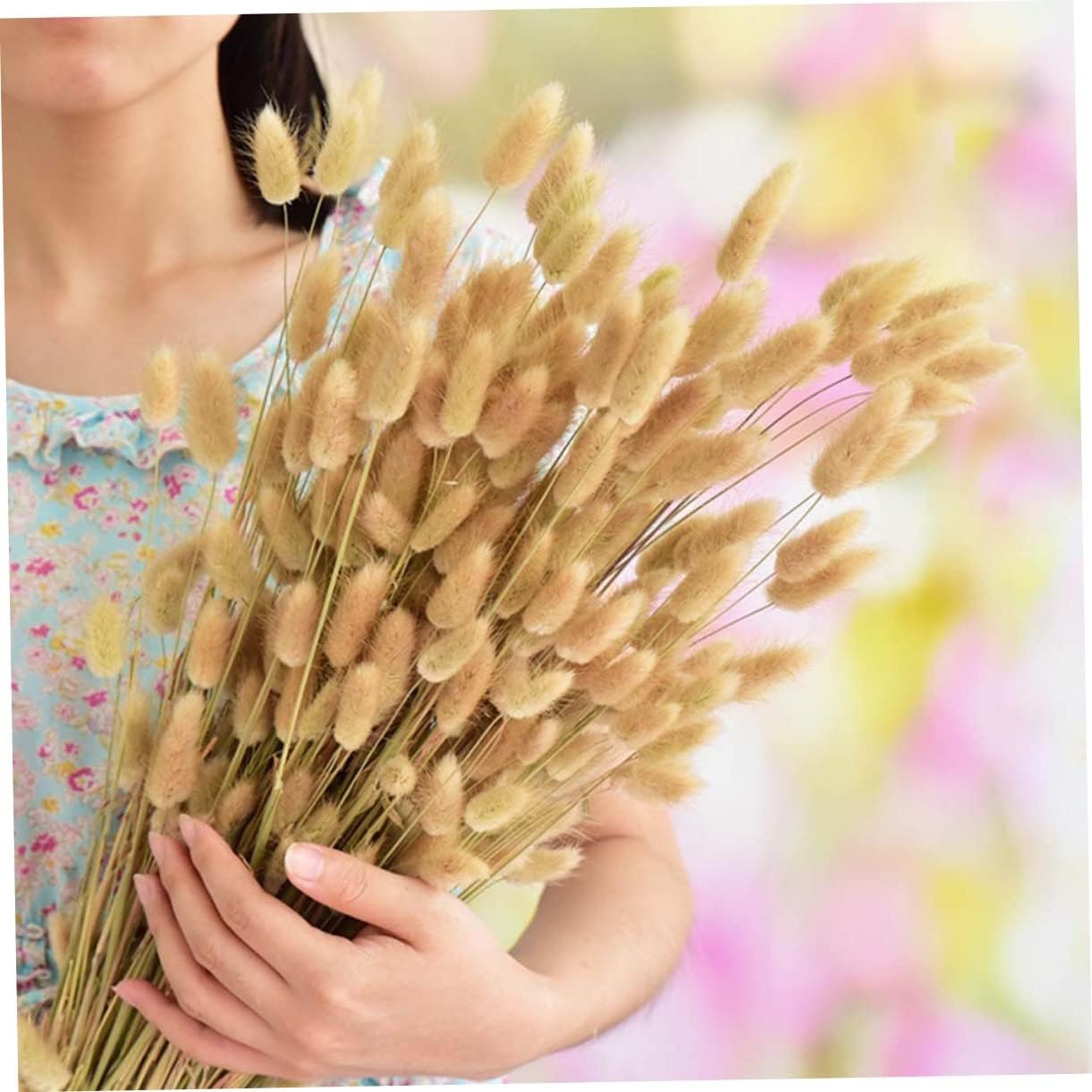 50pcs Dried Grass Rabbit Tail Bunny Decor Natural Rabbit Tail Flowers for Home Wedding Party Office Photo Props Pastoral