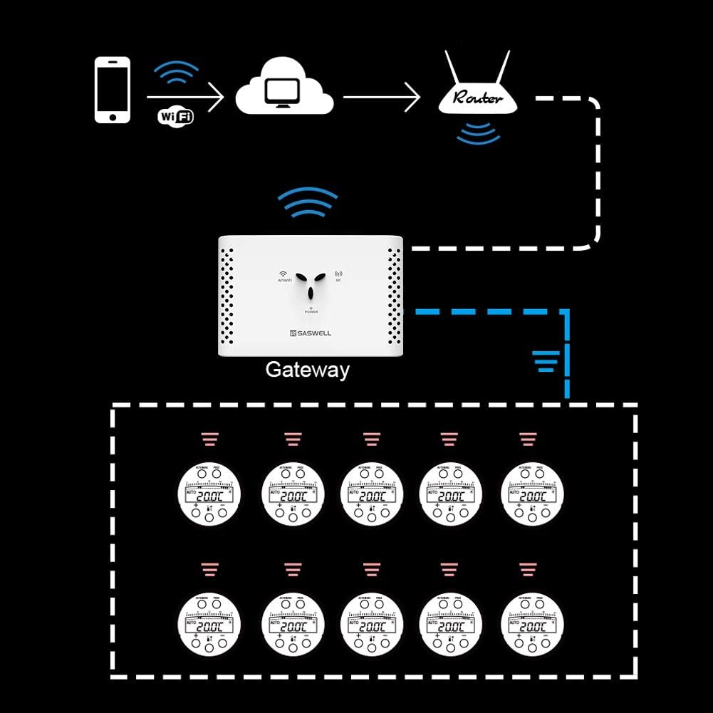 Network connection diagram for the SASWELL Gateway
