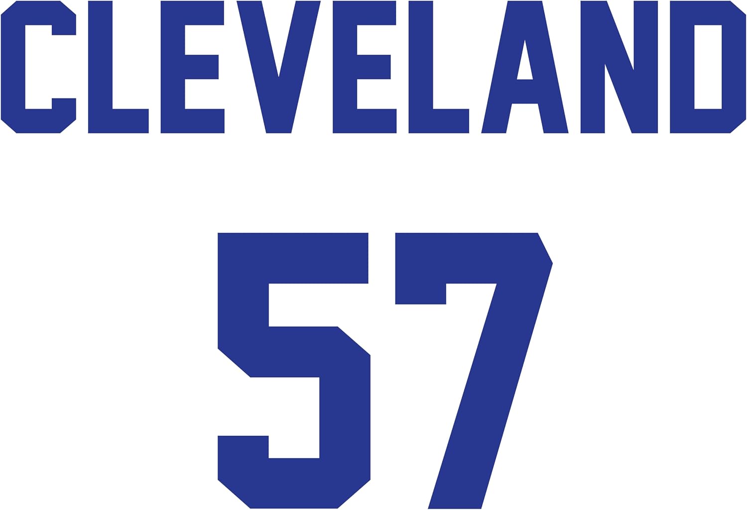 License Champs Varsity Jacket | MLB Players | Baseball Bomber Jackets