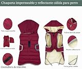 Ver la foto 4