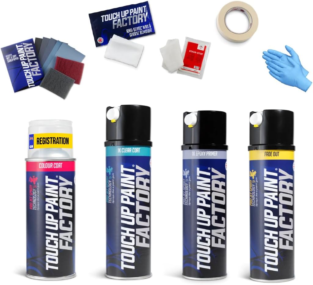 Touch Up Paint Factory - Aerosol Scratch Repair Kit Mixed by Reg Registration Plate Car Touch Up Paint for All Models - Exact Match Guarantee - Pro (Large)