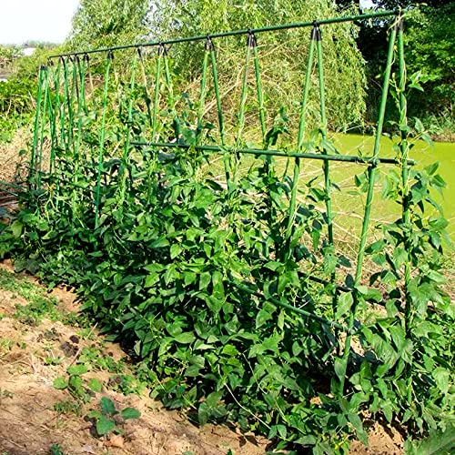 Nanopretty 5 Ft Garden Stakes For Outdoor Plant Support, 0.43 Inch Diameter Plant Stake Sticks For Tomato Beans Potted Climbing Plants Gardening Supplies 20 Pack #TOP6