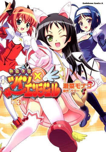 快盗天使ツインエンジェル(3) (角川コミックス・エース)