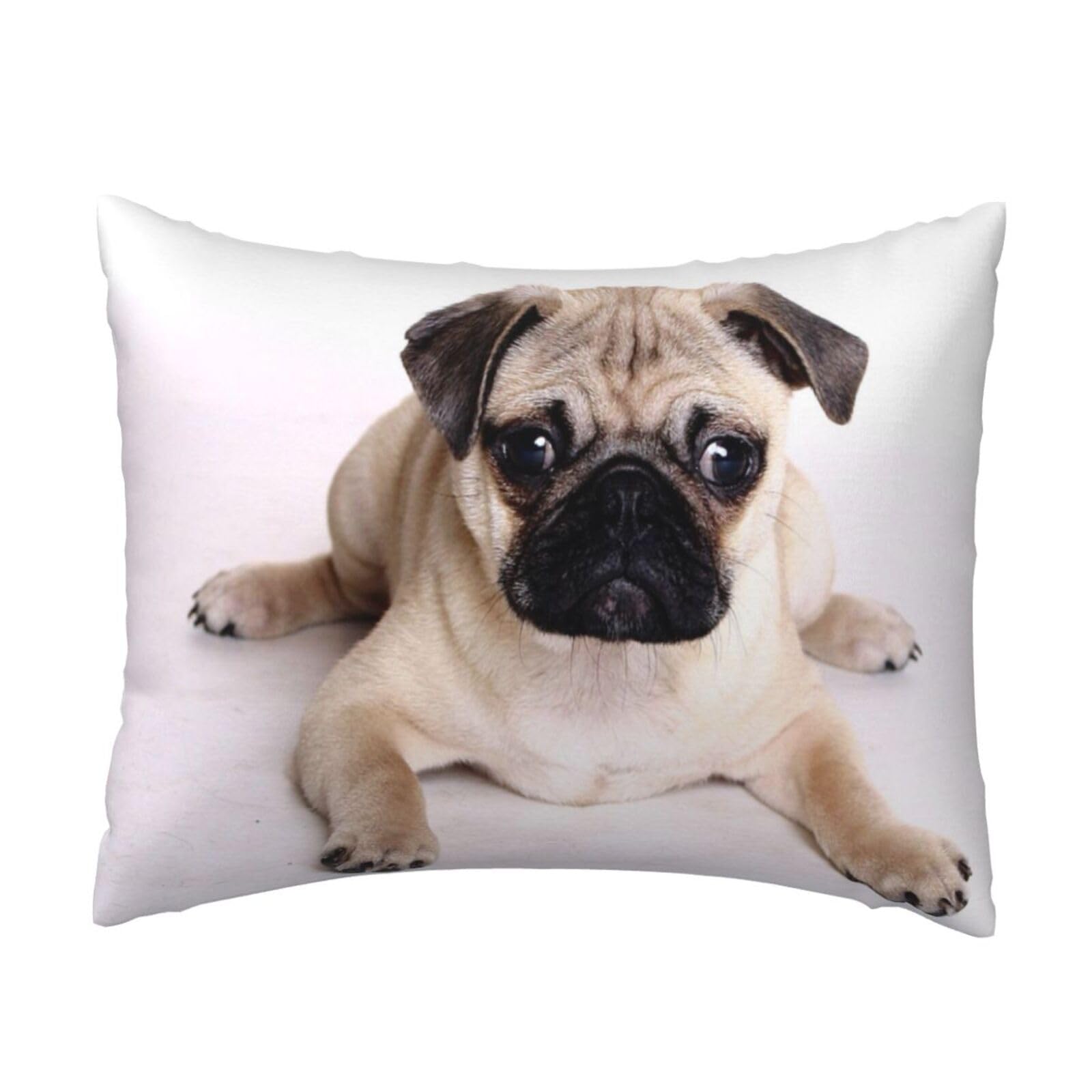 GSGCSBYMLG Pug Dogs printed Pillow Case 20x26in Cushion Cover