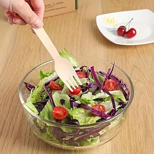 Avilia Set 240 Biologisch abbaubare Holzgabeln | Einweggabeln aus Holz | Einwegbesteck | Einweggabeln | Holzgabeln