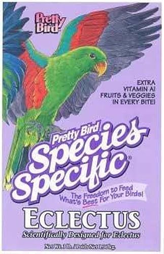 Pretty Bird International Bpb78318 Especies Especiales Especiales Eclectus, 8 libras