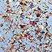 Jumbo Mylar Rainbow Foil Confetti - Glittering Metallic Confetti for New Year's, Surprises, Birthdays, Photoshoots, Engagements, and Weddings (300 Grams) by JPACO