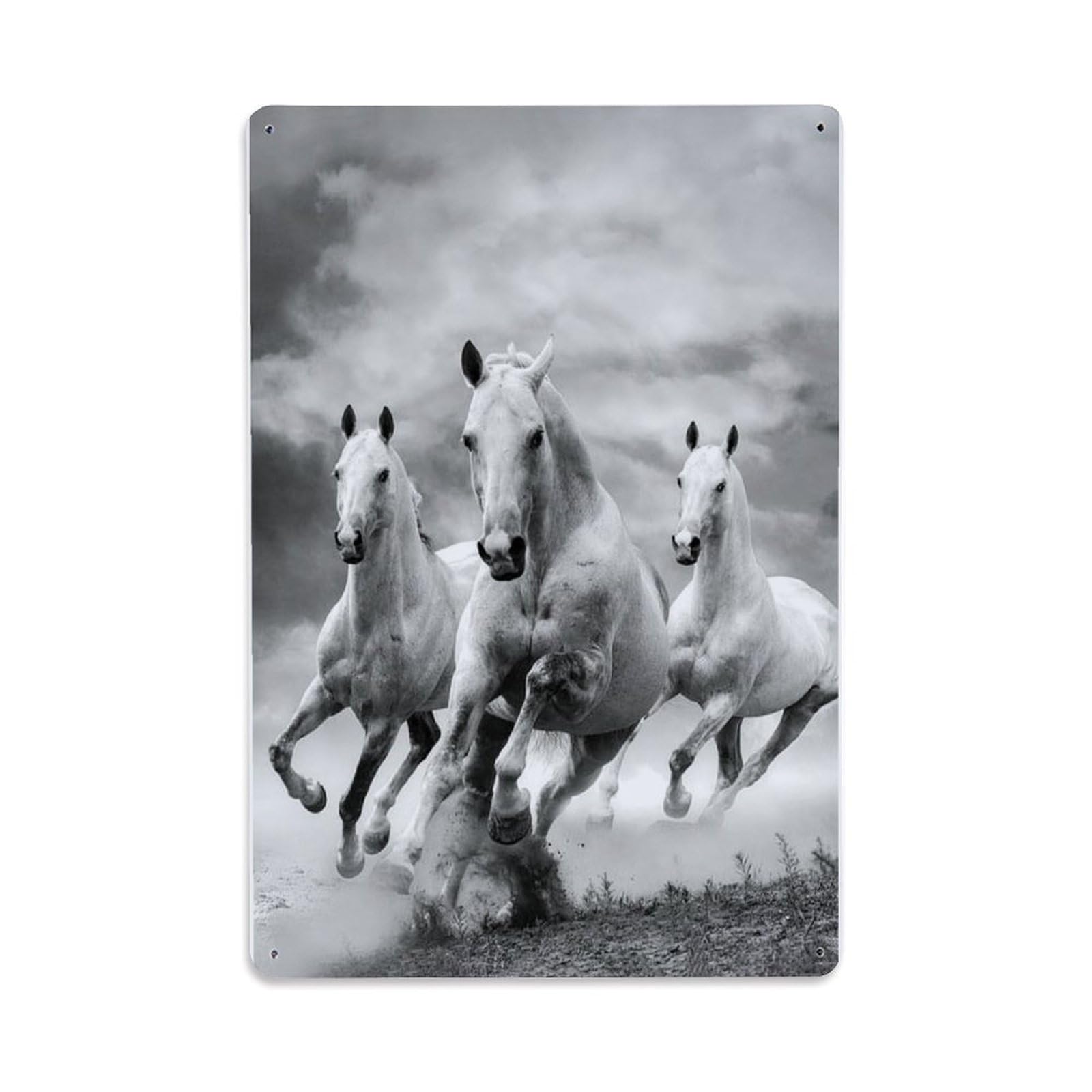 Animal Galloping Horses Metal Tin Sign Plaque Wall Decor for Cafe, Club Bar, Office, Home Garden Metal Poster 8x12Inch