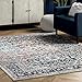 nuLOOM Lilah Vintage Medallion Area Rug, 8' x 10', Blue, Rectangular